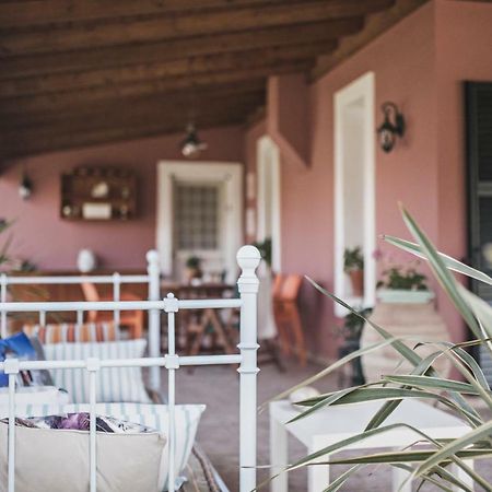 Birdsing Cottage ذيسْخا المظهر الخارجي الصورة