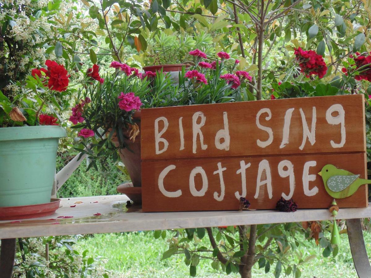 Birdsing Cottage ذيسْخا المظهر الخارجي الصورة