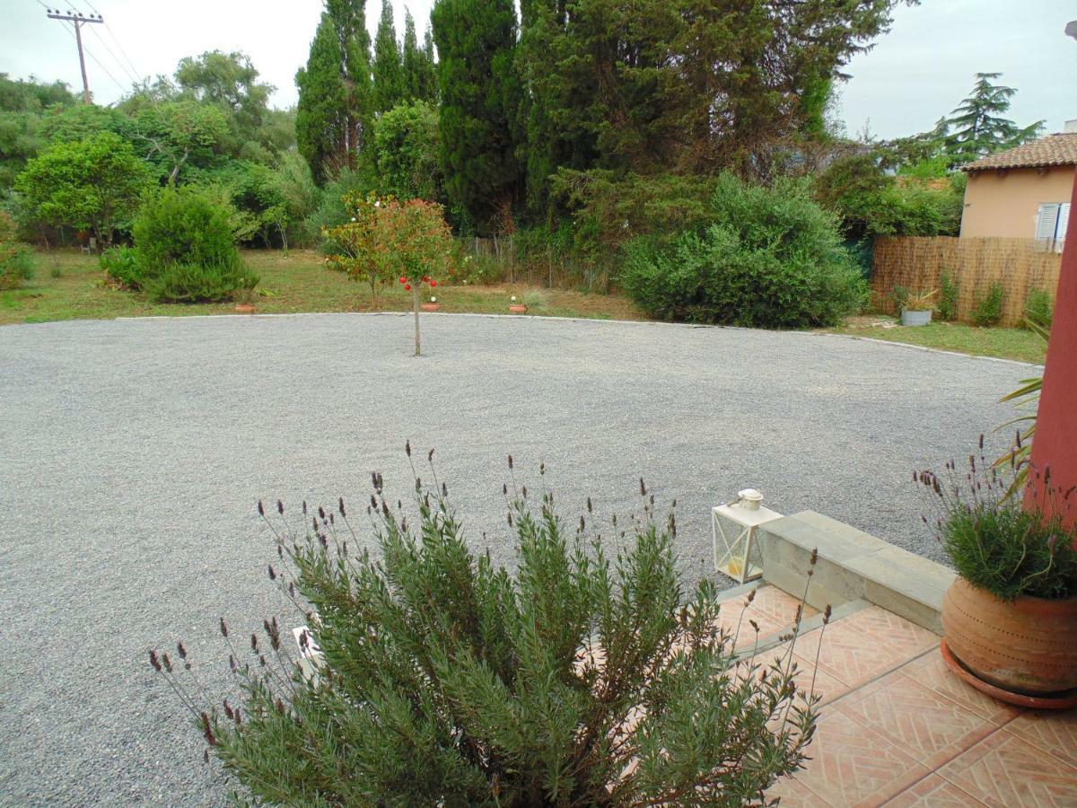 Birdsing Cottage ذيسْخا المظهر الخارجي الصورة