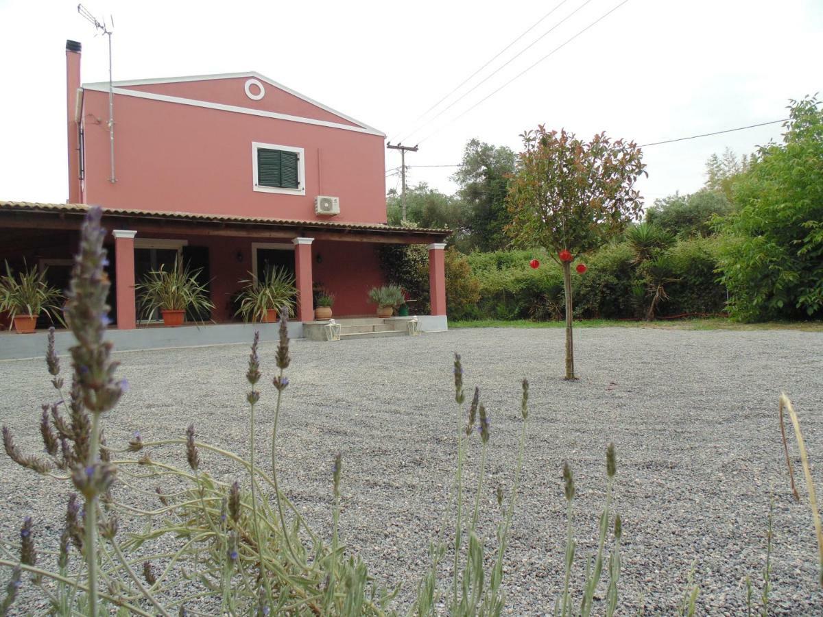 Birdsing Cottage ذيسْخا المظهر الخارجي الصورة